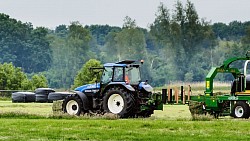 Youth Solidarity Fund will be invested in farming.
